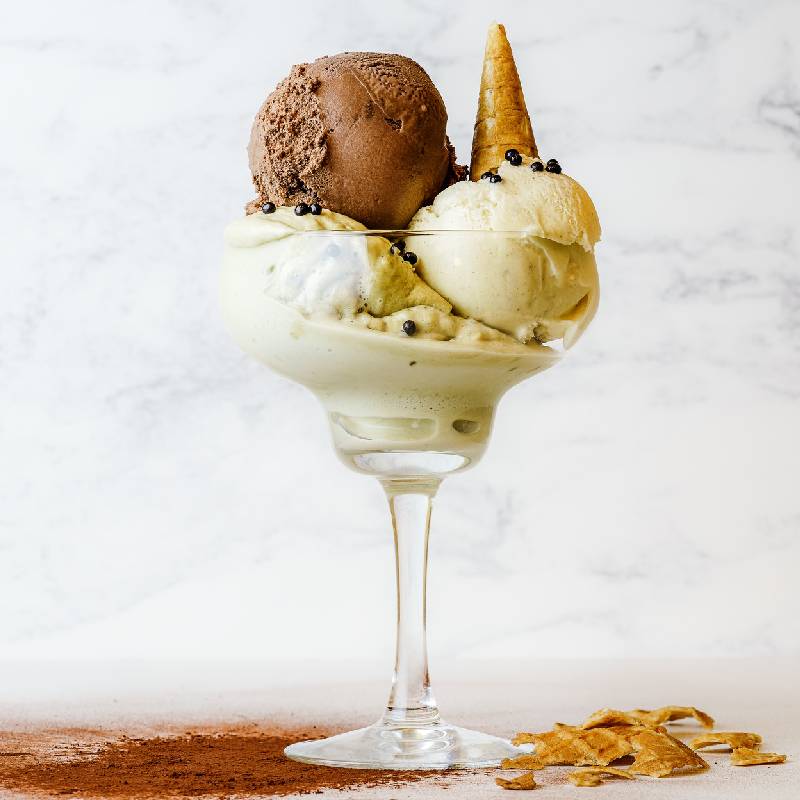 Sea Life Moss - ice cream bowl with cone - chocolate and honeycomb
