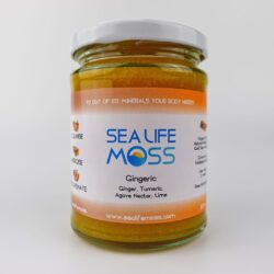 Sea Life Moss - Gingeric - Ginger Turmeic Lime gold sea moss gel