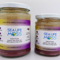 Sea Life Moss - gold and purple sea moss gel mix
